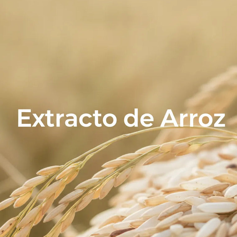 Extracto de Arroz
